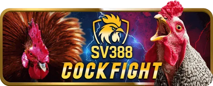 Uy tín và An toàn tại new8869