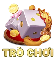 Quản lý tùy chọn Cookie của bạn